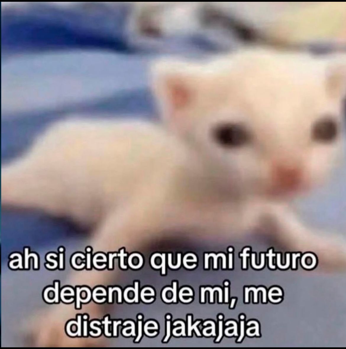 ¿Saldría contigo? 