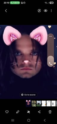 Bucky