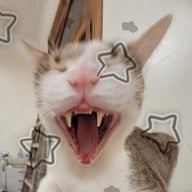 林莉莉