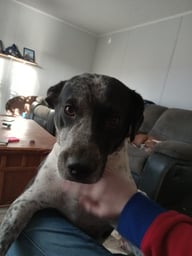 Rylee 