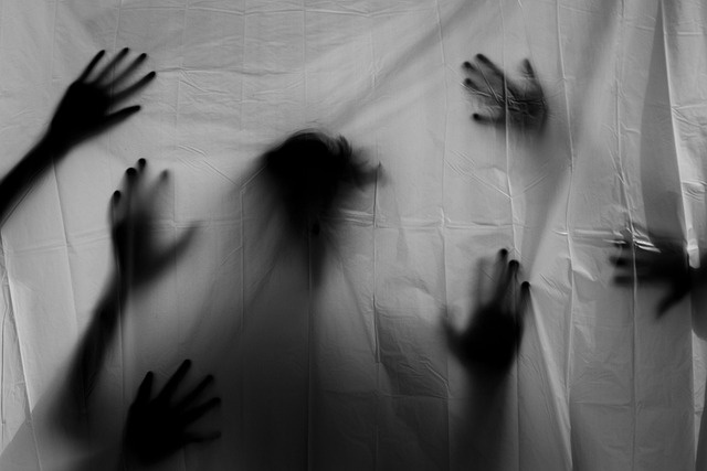 what phobia do i have