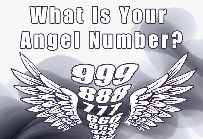 What Is Your Angel Number? 