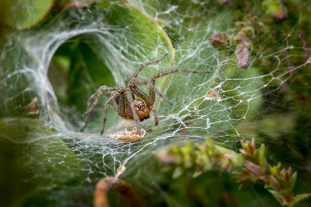 what phobia do i have