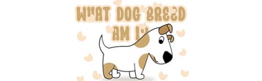 what dog breed am i