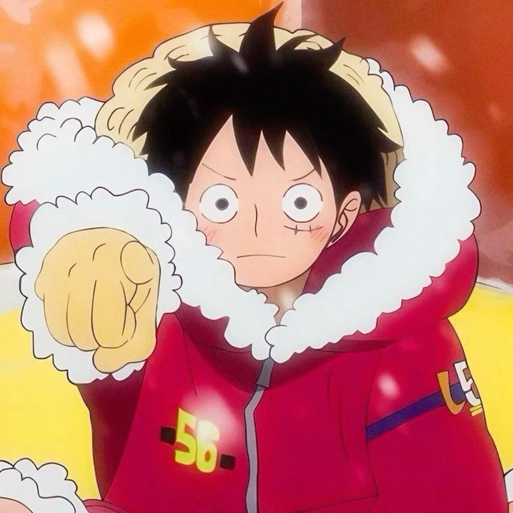 Which One piece character is your life partner?